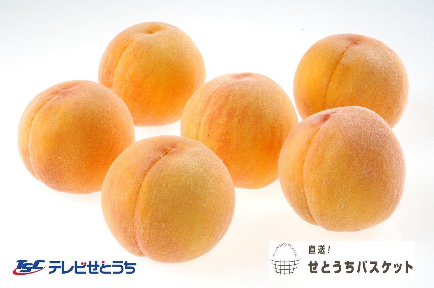 黄金桃（ご家庭用）約２kg（６～９玉入り）【2026年発送】