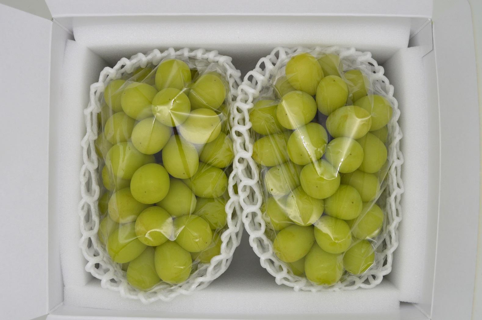 岡山県産シャインマスカット大房２房 約１.4kg【2026年発送】