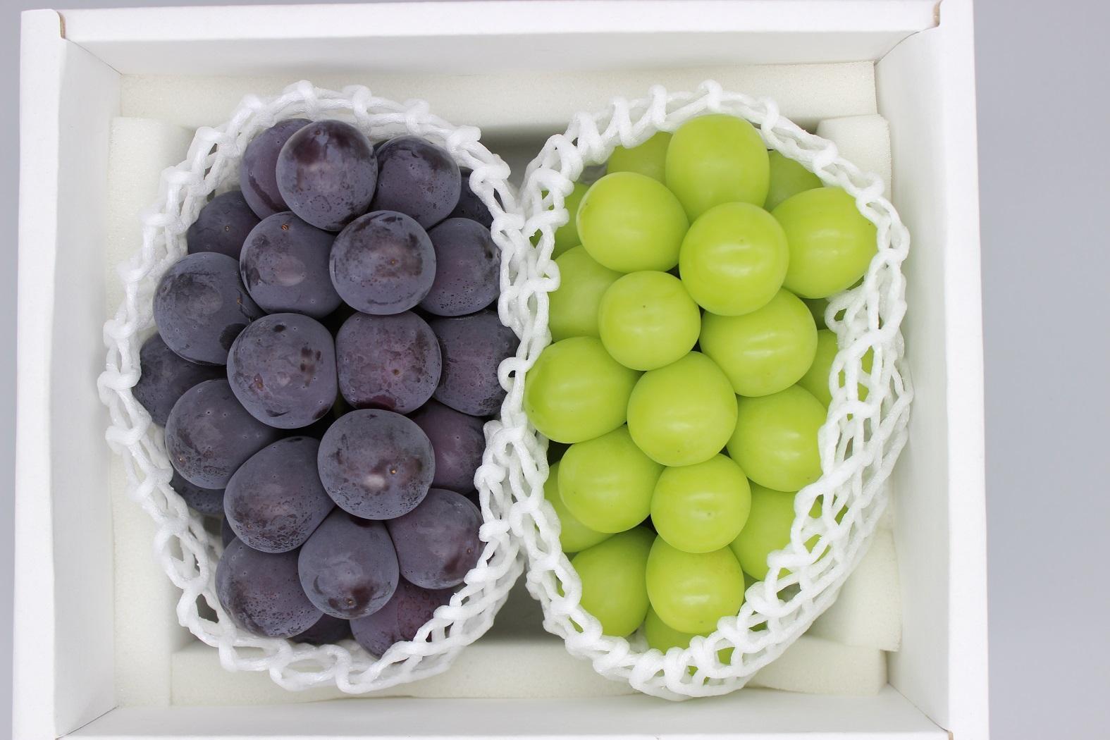 シャインマスカット＆ニューピオーネ　計約1.2kg(各１房）【2026年発送】