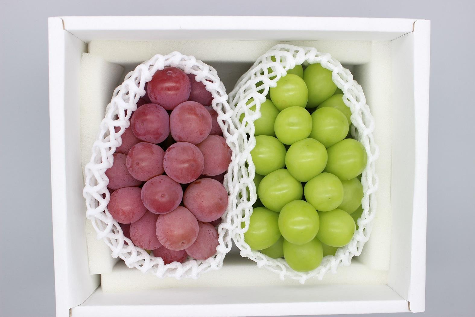 シャインマスカット＆クイーンニーナ　計約1.2kg(各１房）【2026年発送】