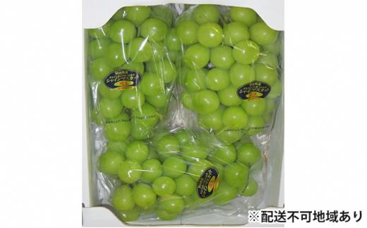 ぶどう 2026年 岡山県産 シャインマスカット 3房～4房 約2kg  贈答 ぶどう園AC