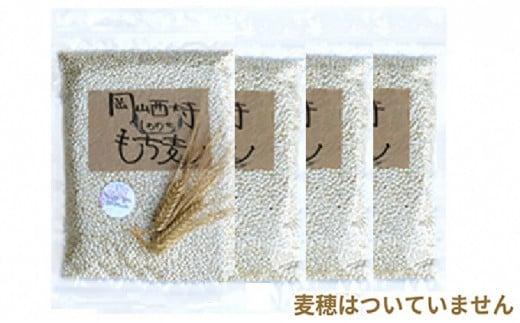 令和7年産 岡山西大寺の幸せもち麦(キラリモチ) 数量限定 2kg(500g×4)