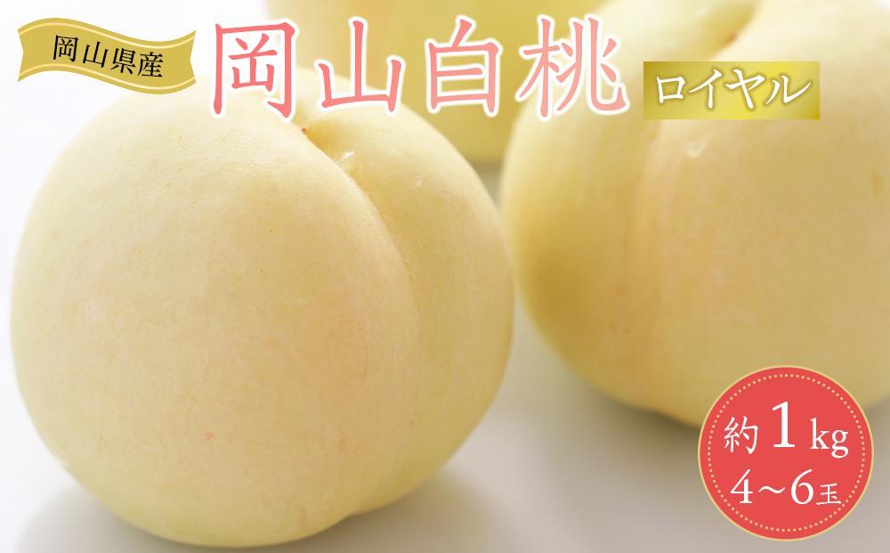 岡山県産 桃 岡山白桃 2026年 ロイヤル 約1kg（4～6玉）もも モモ フルーツ 果物 ギフト