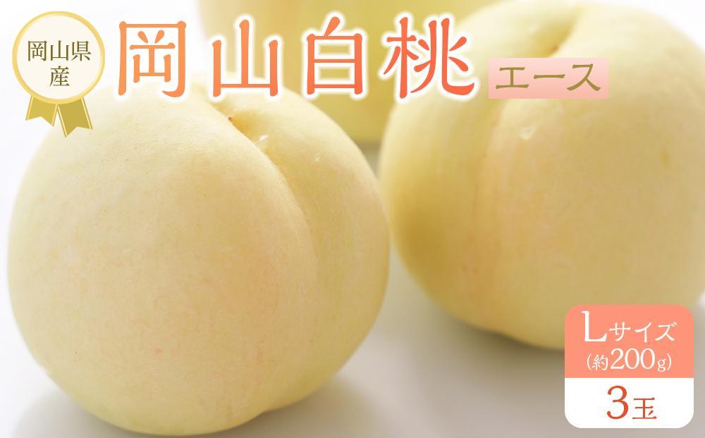 岡山県産 桃 岡山白桃 2026年 エース 3玉×約200g 計600g Lサイズ もも モモ フルーツ 果物 ギフト