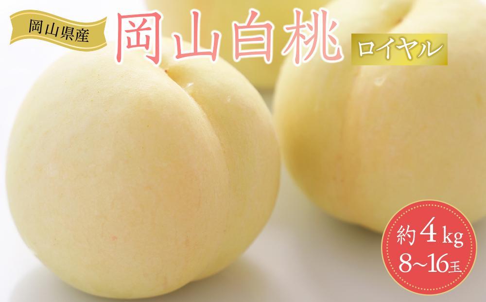 岡山県産 桃 岡山白桃 2026年 ロイヤル 約4kg（8～16玉）もも モモ フルーツ 果物 ギフト