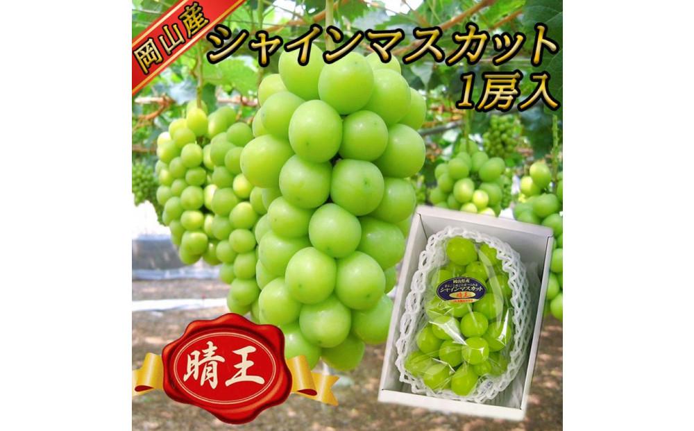 ぶどう 2025年  受付 シャインマスカット【 晴王 】【 8月発送分 】1房（約650g）秀品 【配送不可：離島】