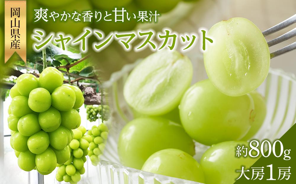 ぶどう 2025年  シャイン マスカット 大房1房 約800g 贈答用 ブドウ 葡萄 岡山県産 国産 フルーツ 果物 ギフト 横木農園