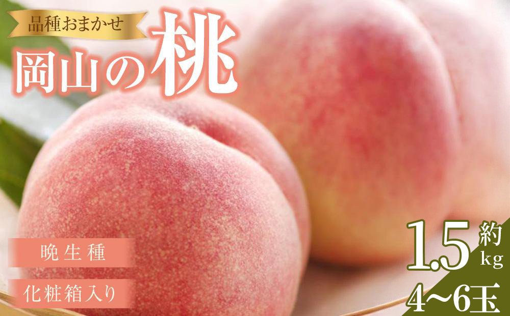 桃 2026年  岡山の桃（晩生種）約1.6kg 4~6玉 もも モモ 岡山県産 国産 フルーツ 果物 ギフト 横木農園
