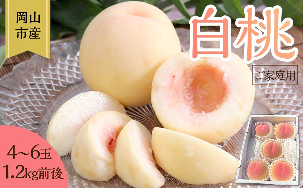 桃 2026年 ご家庭用 岡山 白桃 4玉～６玉 1.2kg 前後 もも 岡山県産 国産 フルーツ 果物 雅桃園