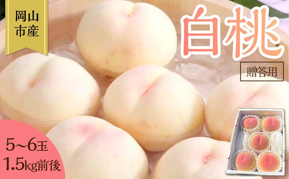桃 2026年 贈答用 岡山 白桃 5玉～６玉 1.5kg 前後 もも 岡山県産 国産 フルーツ 果物 ギフト 雅桃園
