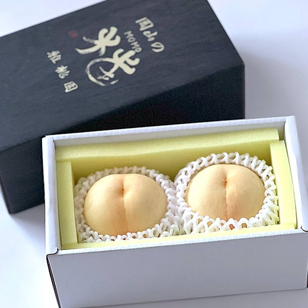 桃 2026年   岡山 白桃 2玉  もも 岡山県産 国産 フルーツ 果物 ギフト 雅桃園