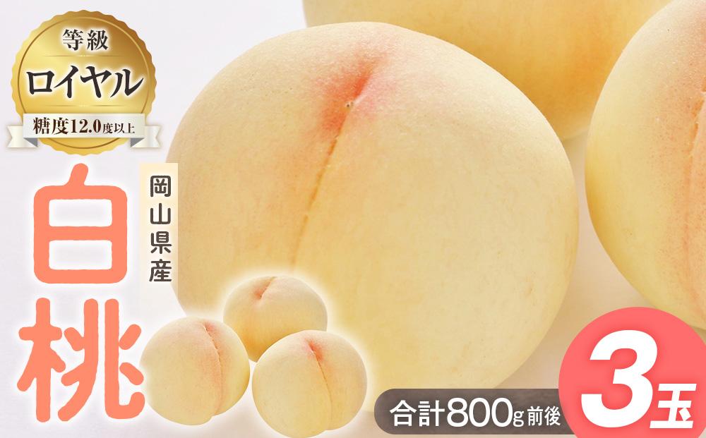 桃 2026年  白桃 3玉入り 等級: ロイヤル 糖度12.0度以上 合計800g前後 もも モモ 岡山県産 国産 フルーツ 果物 ギフト