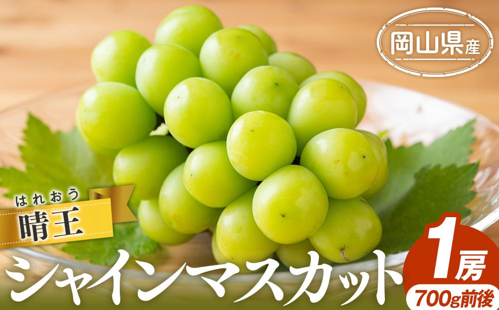 シャイン マスカット 2025年  晴王 1房 700g前後 マスカット ブドウ 葡萄  岡山県産 国産 フルーツ 果物 ギフト