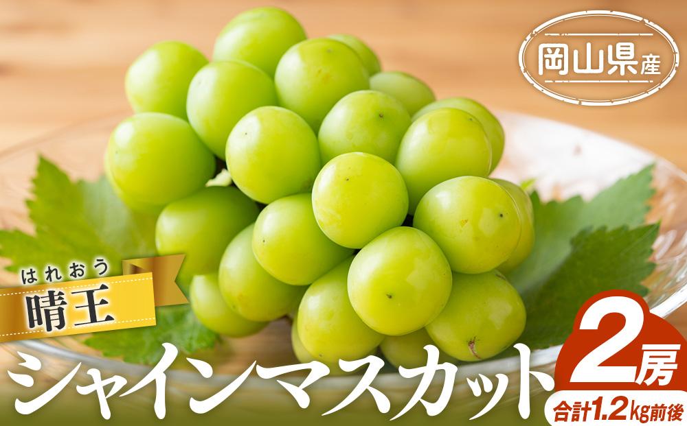 シャインマスカット 2025年  晴王 2房 合計1.2kg前後 マスカット ブドウ 葡萄  岡山県産 国産 フルーツ 果物 ギフト