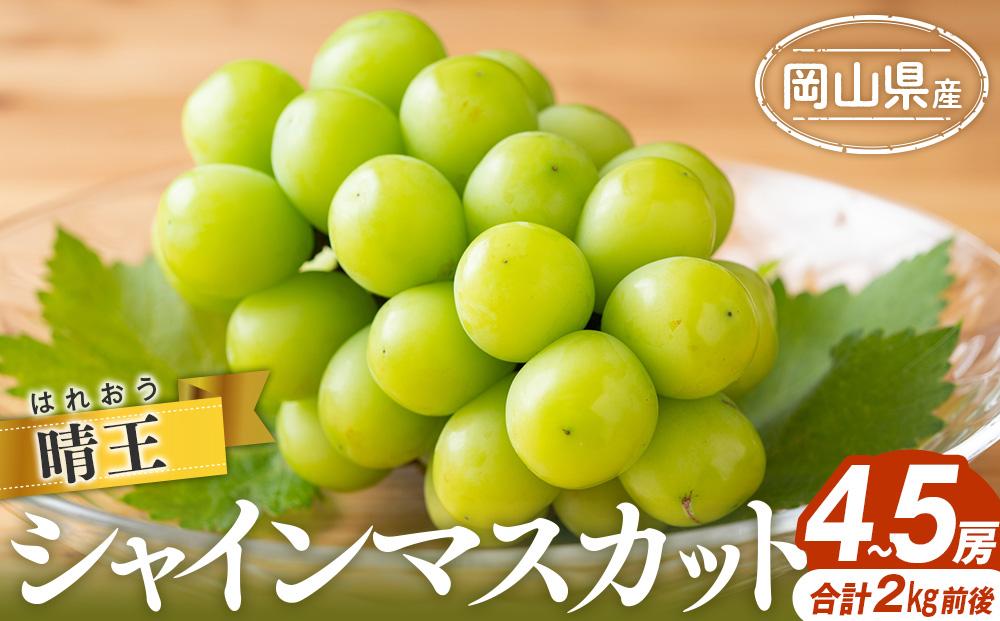 シャインマスカット 2025年  晴王 4～5房 合計2.0kg前後 マスカット ブドウ 葡萄  岡山県産 国産 フルーツ 果物 ギフト