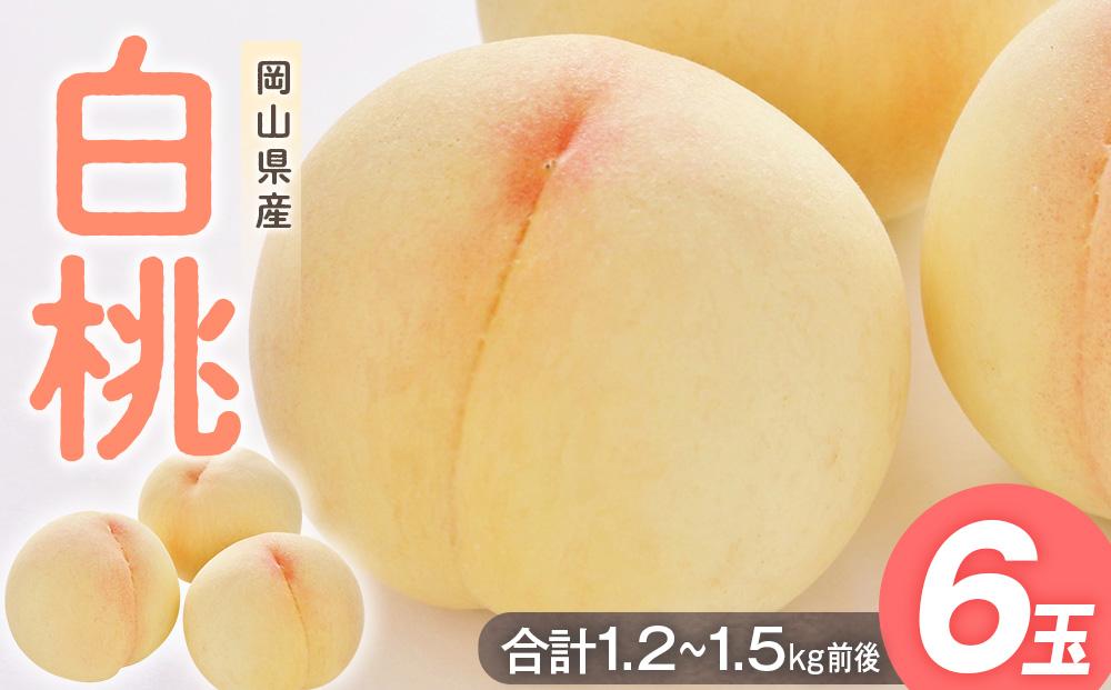 桃 2025年  白桃 6玉入り 合計1.2～1.5kg前後 もも モモ 岡山県産 国産 フルーツ 果物 ギフト