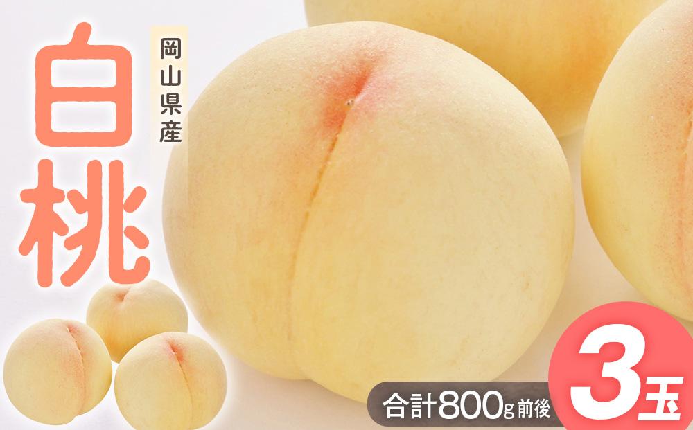 桃 2025年  白桃 3玉入り 合計800g前後 岡山県産もも モモ 岡山県産 国産 フルーツ 果物 ギフト