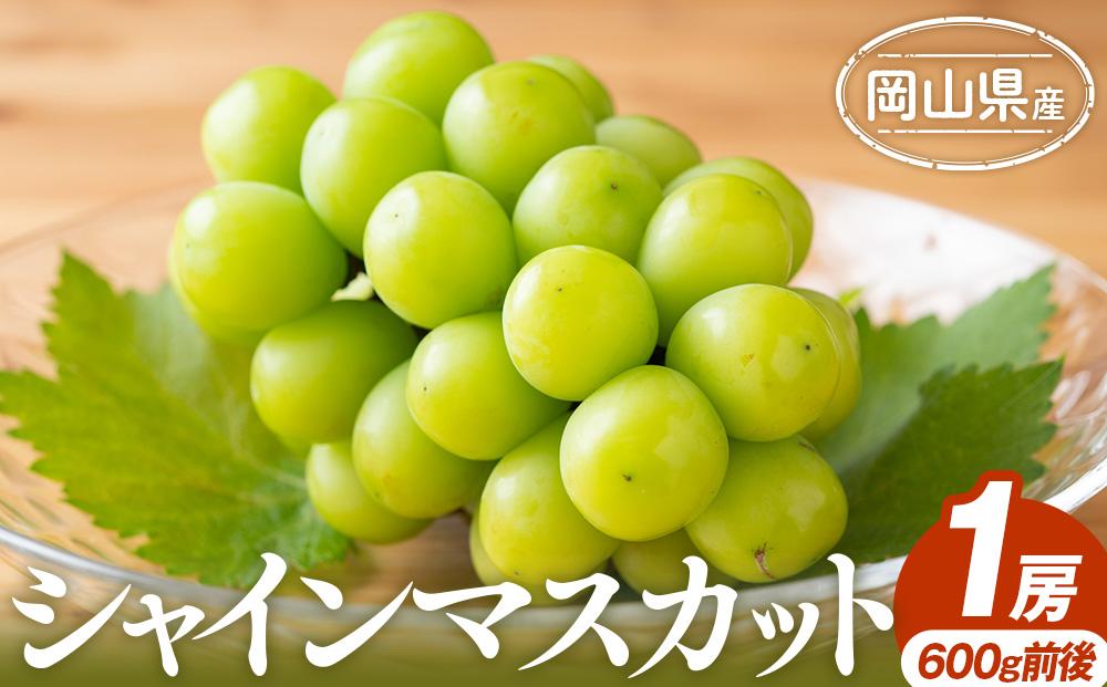 ぶどう 2025年 シャインマスカット 1房 600g前後 岡山県産