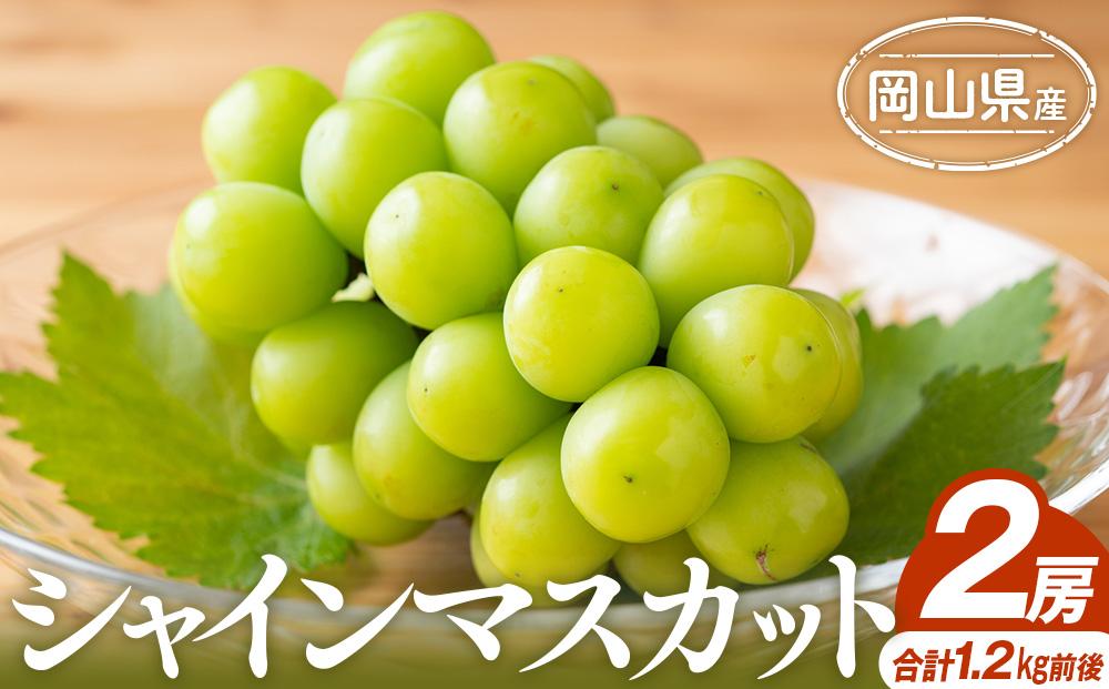 ぶどう 2025年 シャインマスカット 2房 合計1.2kg前後 岡山県産