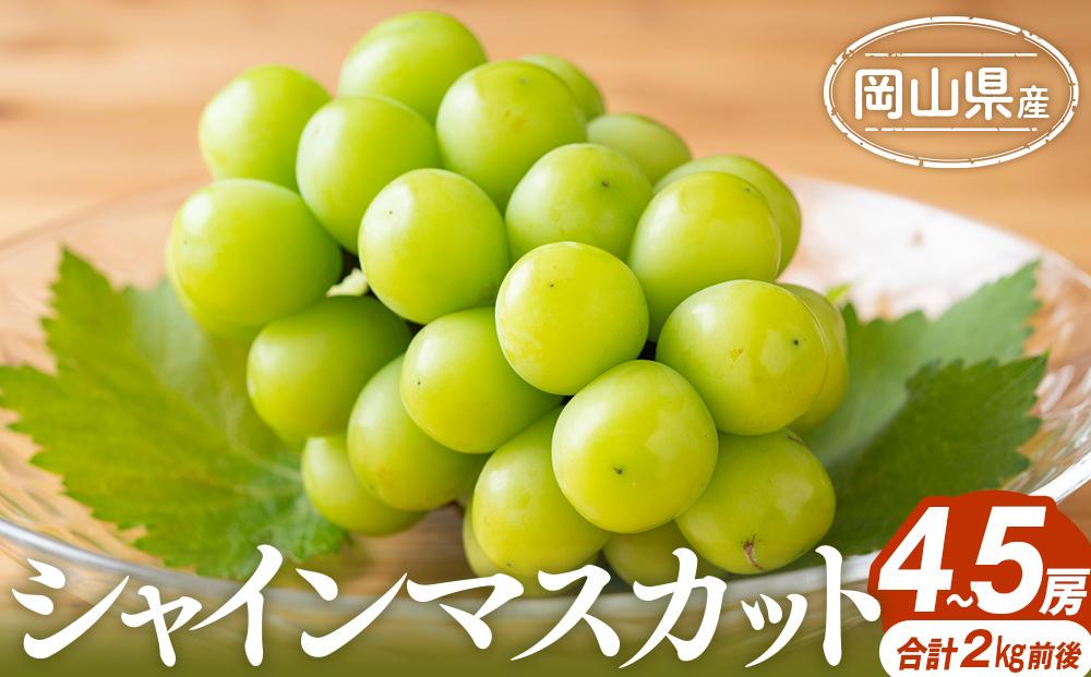 ぶどう 2025年 シャインマスカット 4～5房 合計2.0kg前後 岡山県産