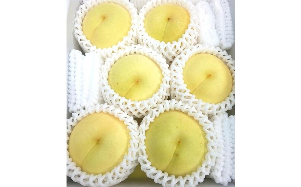 岡山県産 冬桃がたり 6個入り（約1200ｇ）