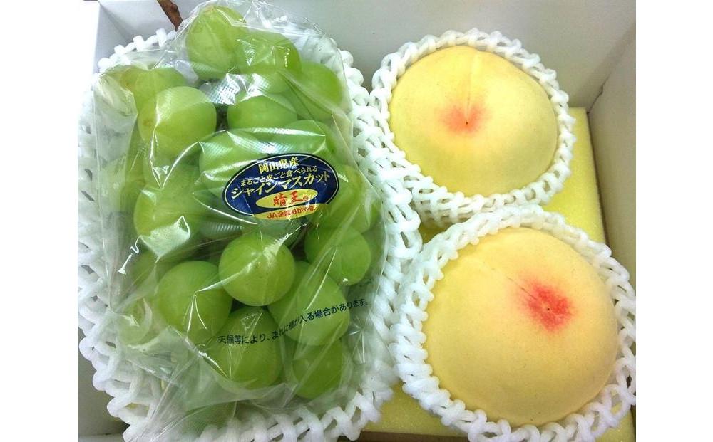 2025年  岡山県産フルーツ詰め合わせ（シャインマスカット1房、桃2個入）