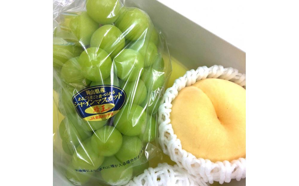 岡山県産フルーツ詰め合わせ（シャインマスカット１房、桃1個入）