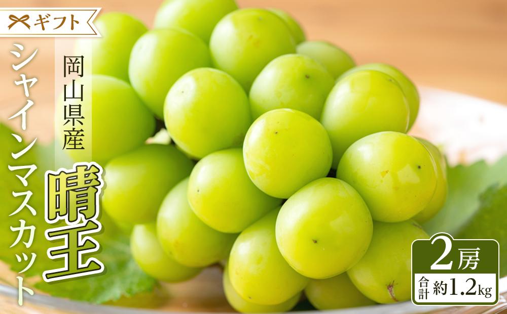 ぶどう 2025年  シャイン マスカット 晴王 2房（合計約1.2kg） ブドウ 葡萄  岡山県産 国産 フルーツ 果物 ギフト