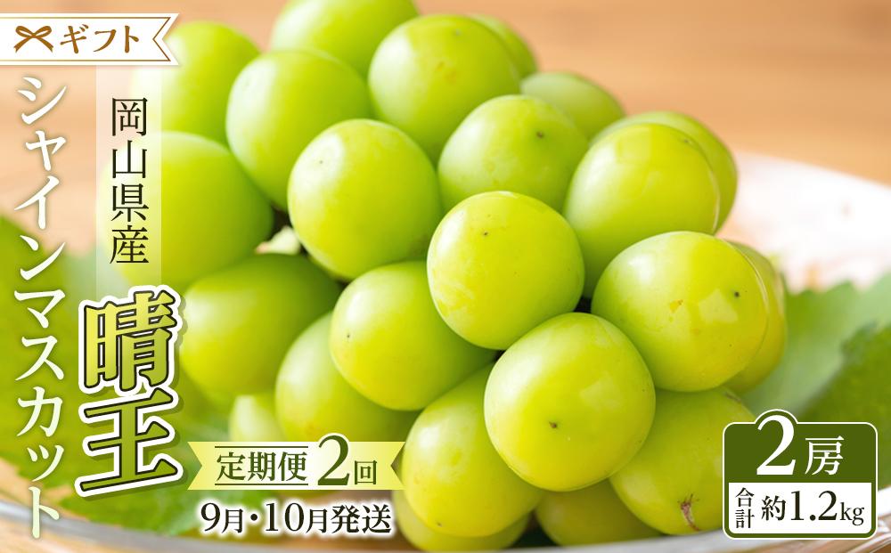 ぶどう 2025年  9月・10月発送 シャイン マスカット 晴王 2房（合計約1.2kg） ブドウ 葡萄  岡山県産 国産 フルーツ 果物 ギフト