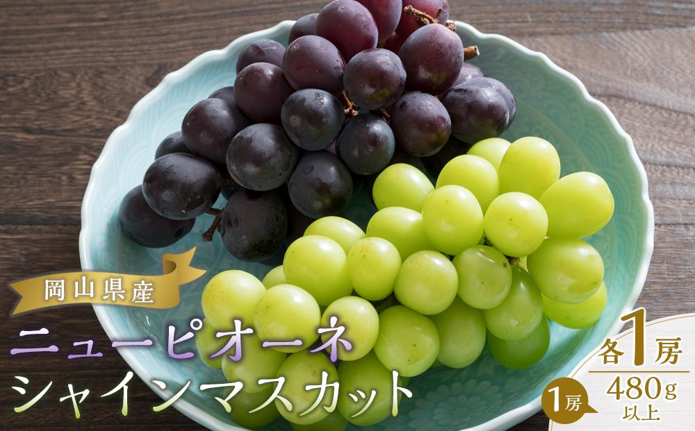 ぶどう 2026年  ニュー ピオーネ 1房（480g以上） シャイン マスカット 1房（480g以上）