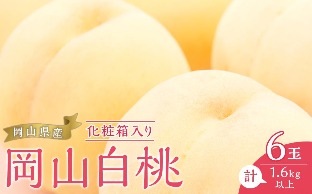 桃 2026年  岡山 白桃 6玉（合計1.6kg以上）化粧箱入り もも モモ 岡山県産 国産 フルーツ 果物 ギフト
