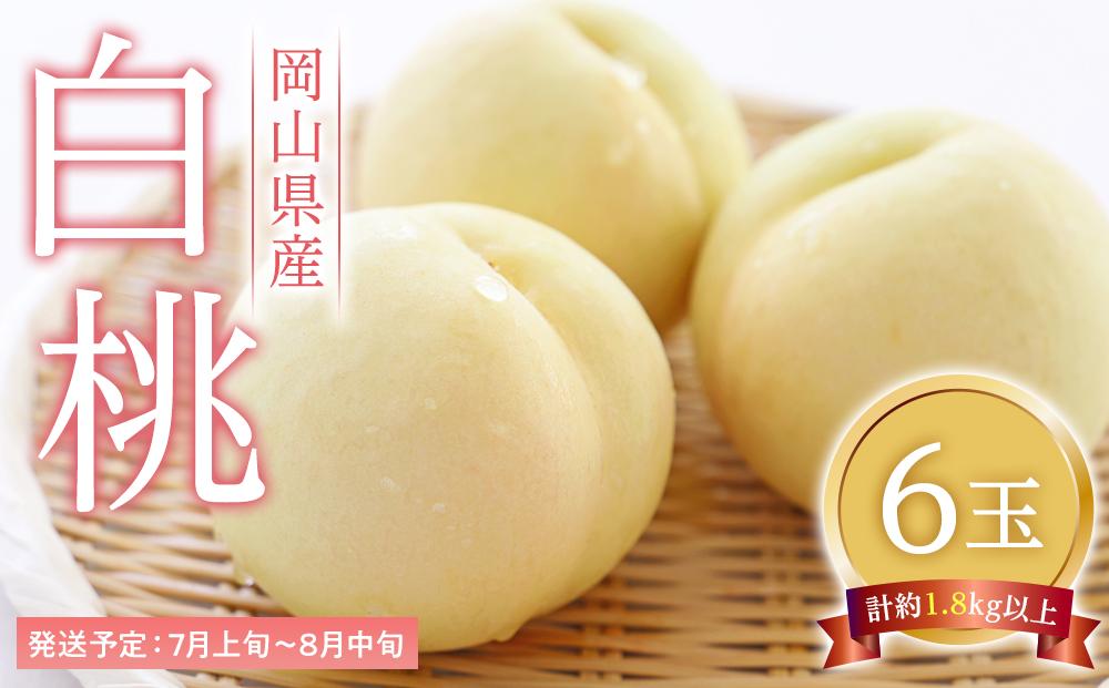 桃 2026年  白桃 6玉（1玉300g以上） もも モモ 岡山県産 国産 フルーツ 果物 ギフト