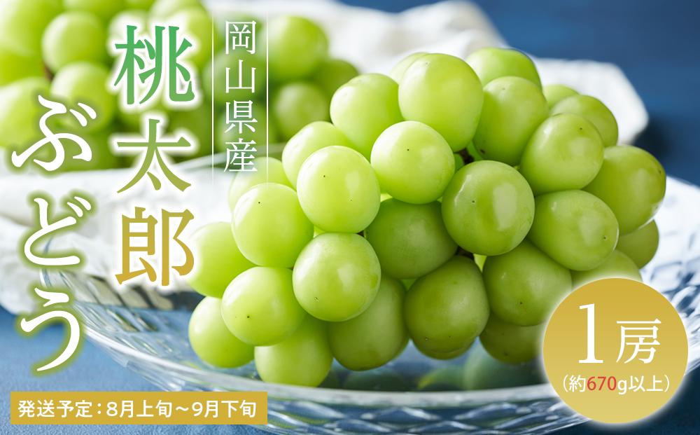 ぶどう 2026年  桃太郎 ぶどう 1房（1房670g以上） ブドウ 葡萄  岡山県産 国産 フルーツ 果物 ギフト