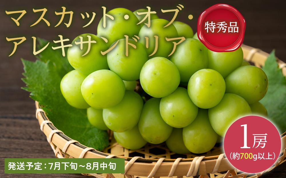 ぶどう 2026年 特秀品 マスカット ・オブ・アレキサンドリア 1房700g以上 マスカット ブドウ 葡萄  岡山県産 国産 フルーツ 果物 ギフト