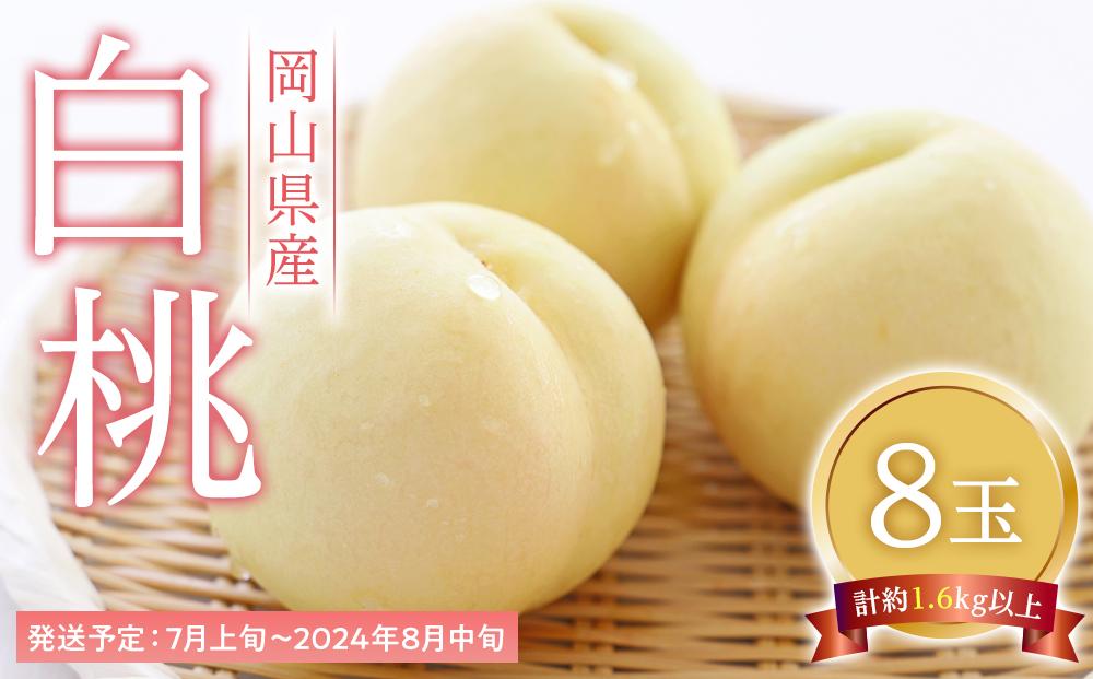 桃 2026年  白桃 8玉（1玉200g以上） もも モモ 岡山県産 国産 フルーツ 果物 ギフト
