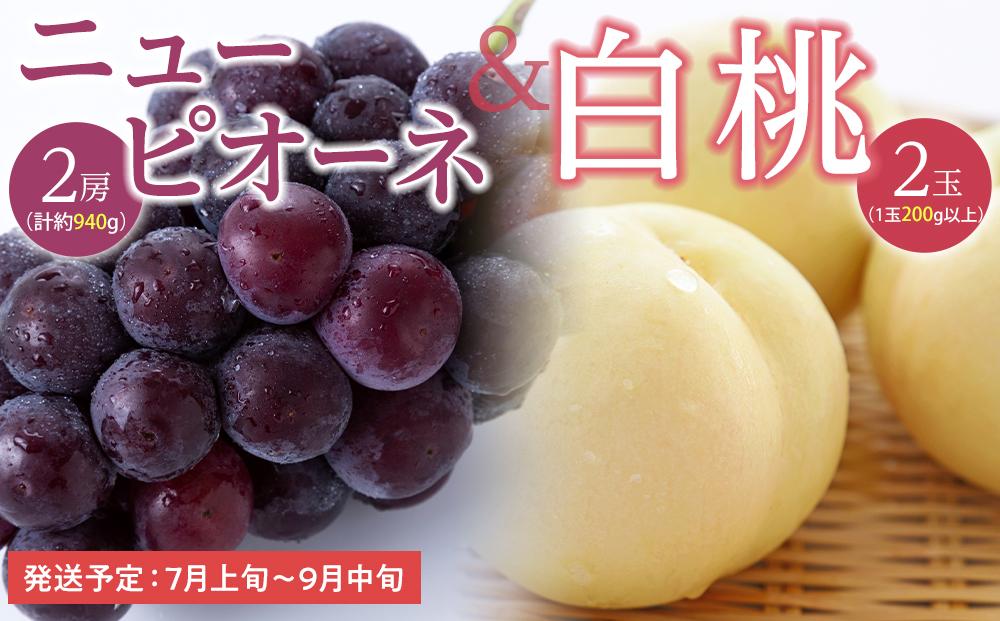 桃 ぶどう 2026年  白桃 2玉（1玉200g以上） ニュー ピオーネ 2房（合計約940g）詰合せ もも 葡萄 岡山県産 国産 フルーツ 果物 ギフト