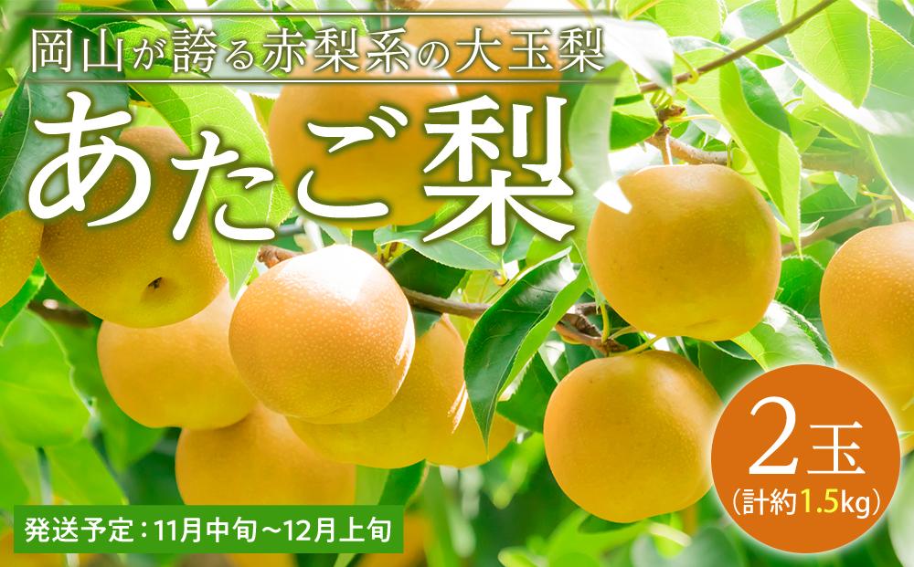 梨 2026年  あたご梨 2玉（1玉約750g）合計約1.5kg なし ナシ 岡山県産 国産 フルーツ 果物 ギフト
