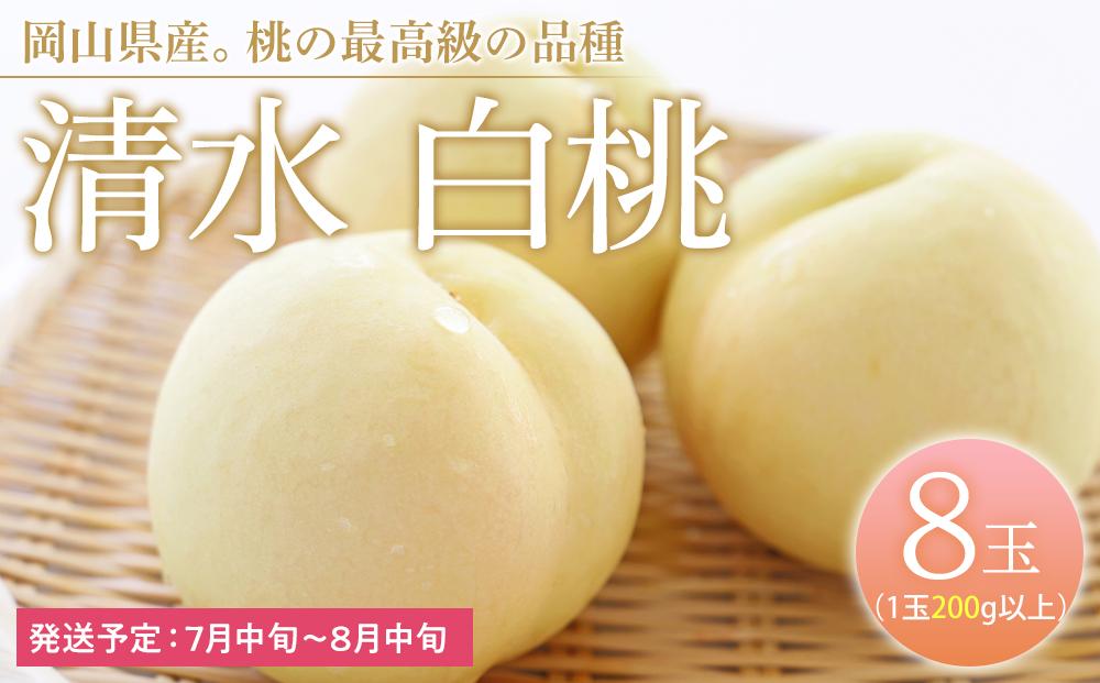 桃 2026年  清水 白桃 8玉（1玉200g以上） もも モモ 岡山県産 国産 フルーツ 果物 ギフト