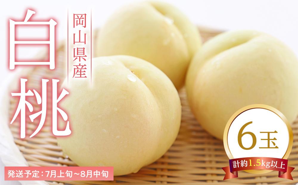 桃 2026年  白桃 6玉（1玉250g以上） もも モモ 岡山県産 国産 フルーツ 果物 ギフト