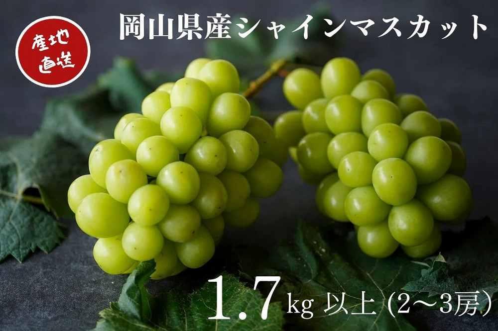 厳選 シャインマスカット 2～3房 合計1.7kg以上 産地直送 朝採れ ぶどう 葡萄 Kawahara Green Farm 岡山県産 2026年