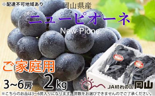 ぶどう 2026年 ご家庭用 ニュー ピオーネ 3～6房 約2kg ブドウ 葡萄  岡山県産 国産 フルーツ 果物