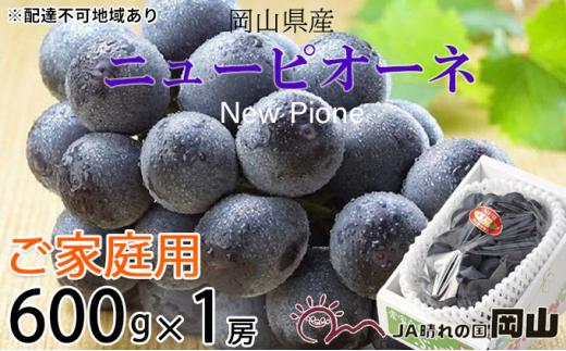 ぶどう 2026年 ご家庭用 ニュー ピオーネ 約600g×1房 ブドウ 葡萄  岡山県産 国産 フルーツ 果物