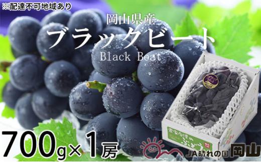 ぶどう 2026年 ブラックビート 約700g×1房 ブドウ 葡萄  岡山県産 国産 フルーツ 果物 ギフト