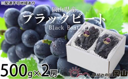 ぶどう 2026年 ブラックビート 約500g×2房 ブドウ 葡萄  岡山県産 国産 フルーツ 果物 ギフト