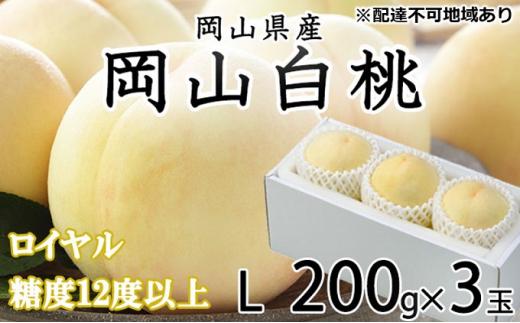 桃 2026年 岡山 白桃 ロイヤル 3玉×約200g（Lサイズ）JAおかやまのもも（早生種・中生種） もも モモ 岡山県産 国産 フルーツ 果物 ギフト