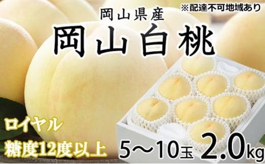 桃 2026年 岡山 白桃 ロイヤル 5～10玉 約2kg JAおかやまのもも（早生種・中生種） もも モモ 岡山県産 国産 フルーツ 果物 ギフト