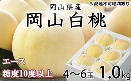 桃 2026年 岡山 白桃 エース 4～6玉 約1kg JAおかやまのもも（早生種・中生種） もも モモ 岡山県産 国産 フルーツ 果物 ギフト