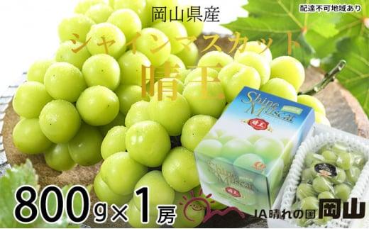 ぶどう 2026年  シャイン マスカット 晴王 約800g×1房 ブドウ 葡萄  岡山県産 国産 フルーツ 果物 ギフト