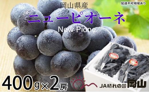 ぶどう 2026年  ニュー ピオーネ 約400g×2房 ブドウ 葡萄  岡山県産 国産 フルーツ 果物 ギフト