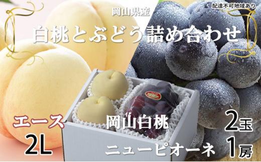 桃 ぶどう 2026年 岡山 白桃 エース 2玉×約250g（2Lサイズ、早生種・中生種）ニュー ピオーネ 1房約500g  詰め合わせ 岡山県産 フルーツ